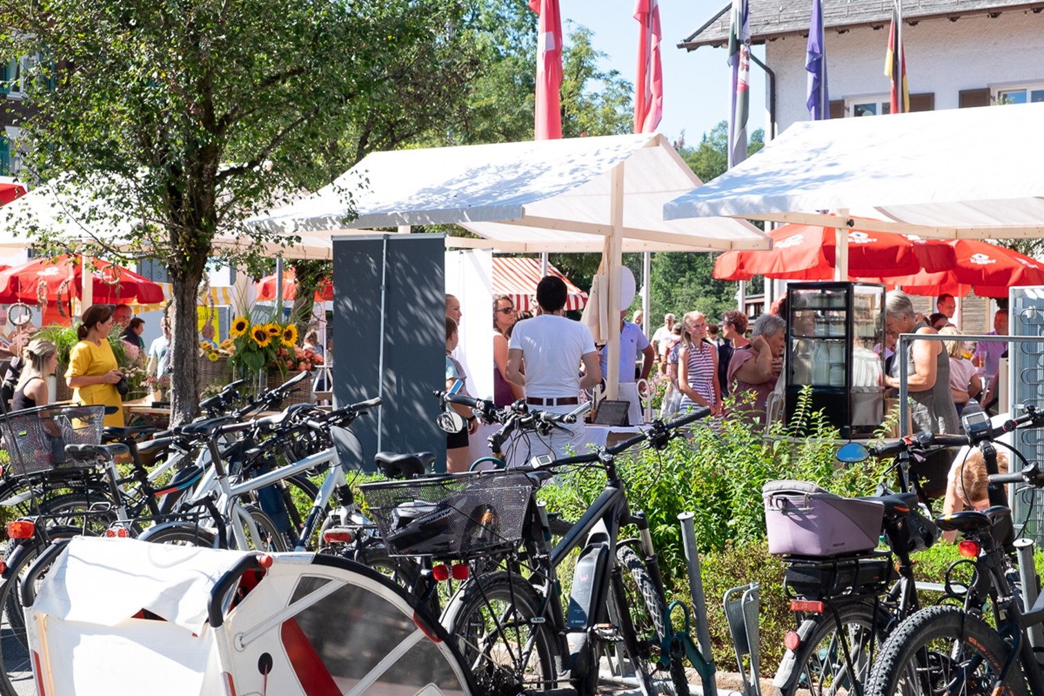 Eine große Gruppe von Fahrrädern ist auf einem Markt geparkt